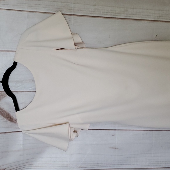 Calvin Klein Dresses & Skirts - Calvin Klein Pink/Blush Flutter Sleeve Dress Size 2